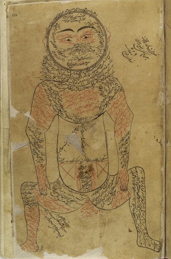 L0013313 Muscular system, Avicenna, Canon of Medicine