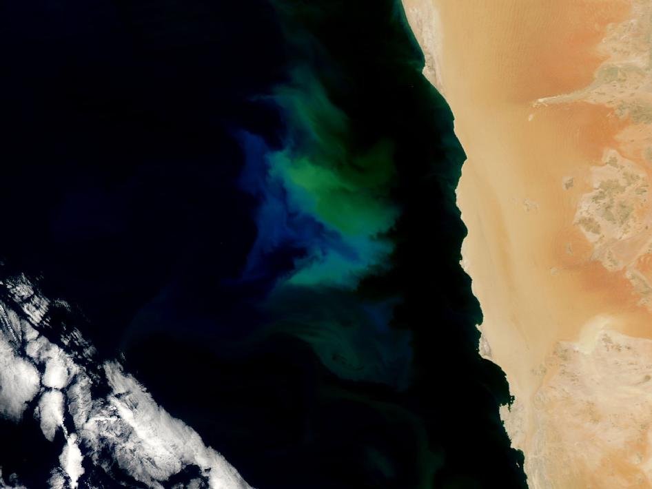 Phytoplankton Bloom off Namibia