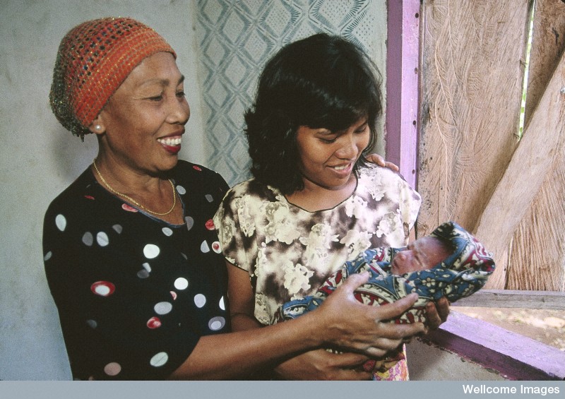 N0026588 Life in rural Indonesia. Three generations