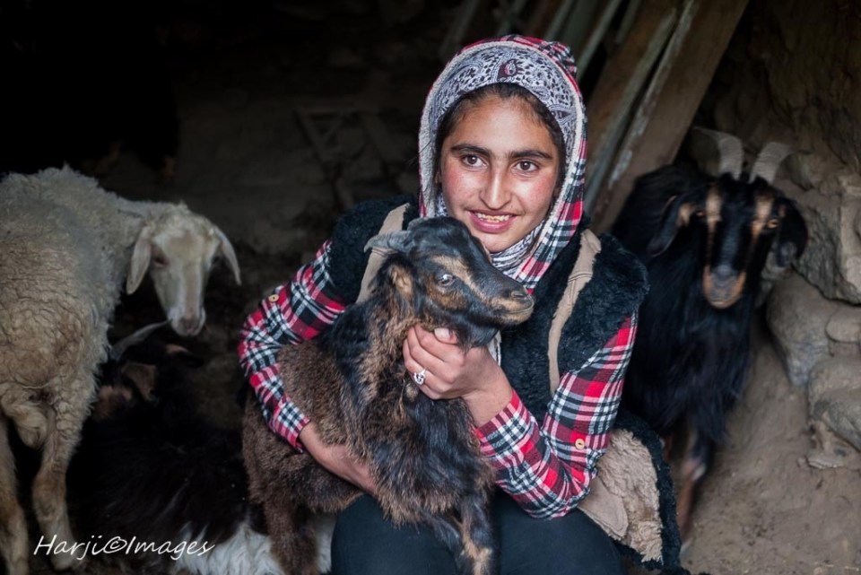 MHBadakhshan16_2d0a4a6