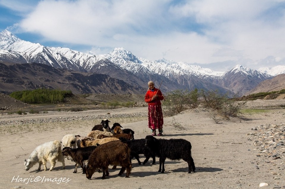 MHBadakhshan28_2d0a4a6