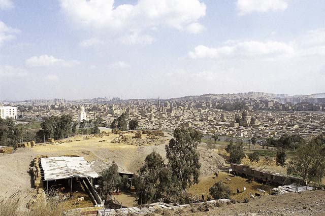 012-7 Aga Khan 2015 London ICOMOS Al-Azhar Park