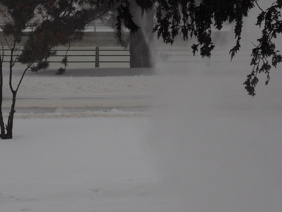 Ottawa Winter Day, December 29, 2015