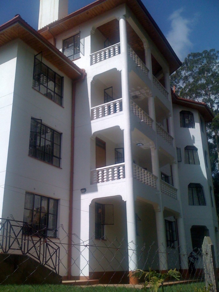 Millenium School Nairobi 007