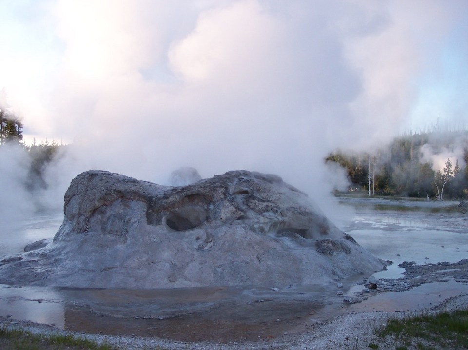 Nurin Merchant Yellowstone National Park