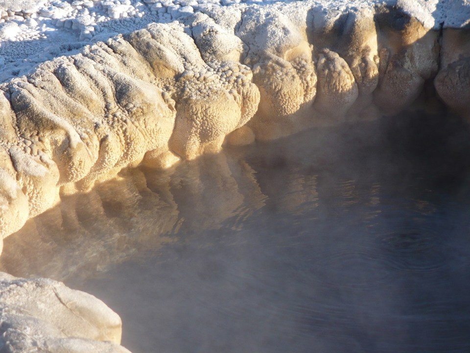 Nurin Merchant Yellowstone National Park