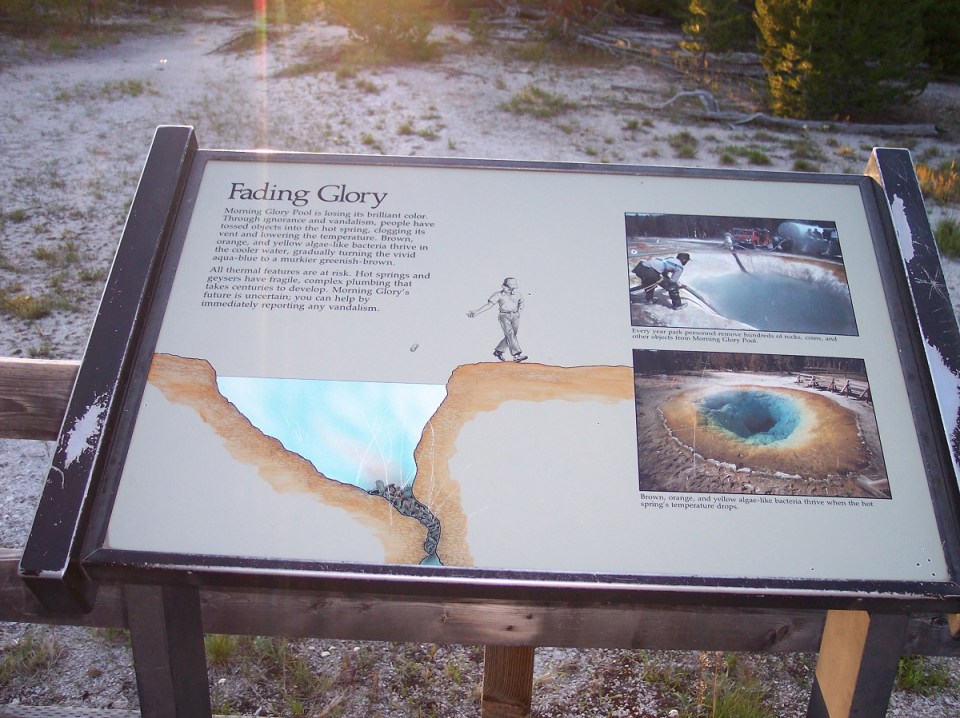 Nurin Merchant Yellowstone National Park