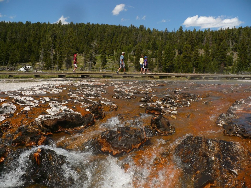 Nurin Merchant Yellowstone National Park