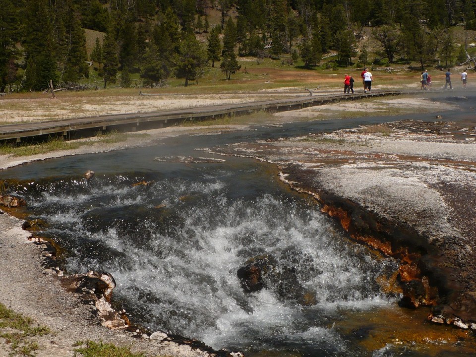 Nurin Merchant Yellowstone National Park