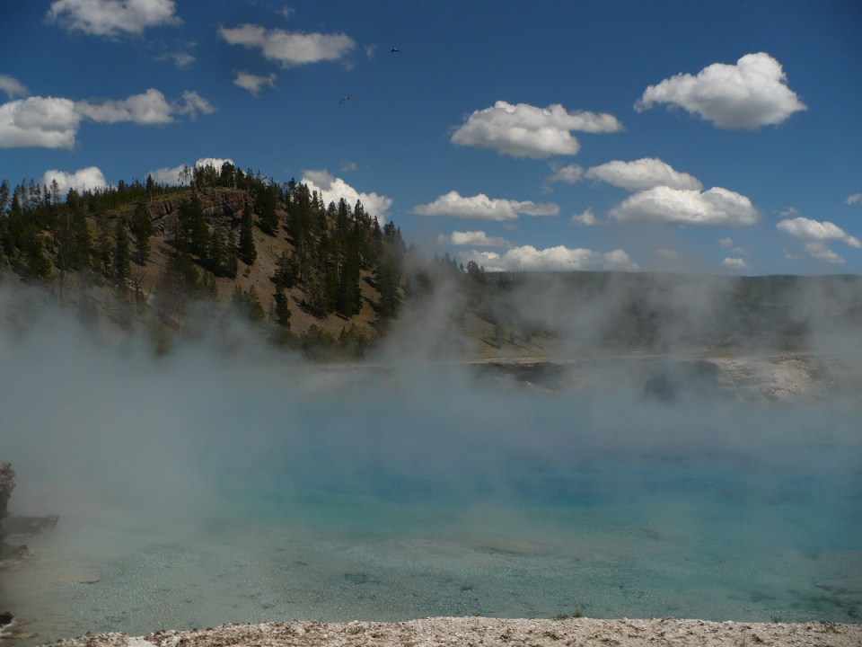 Nurin Merchant Yellowstone National Park
