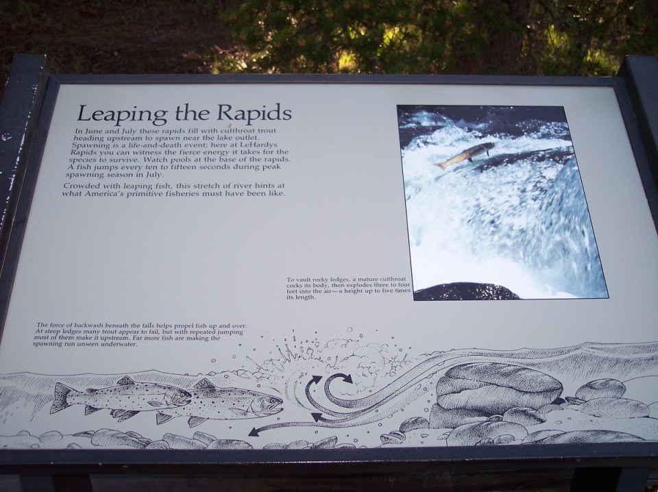 Nurin Merchant Yellowstone National Park