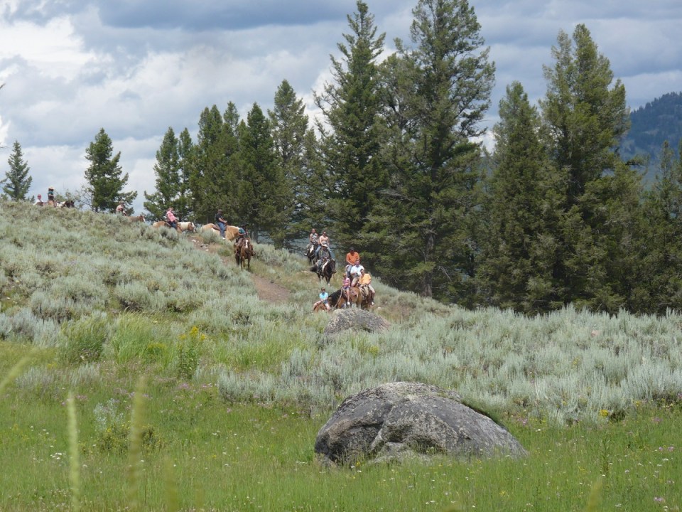 Nurin Merchant Yellowstone National Park