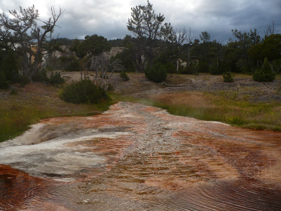 Nurin Merchant Yellowstone National Park