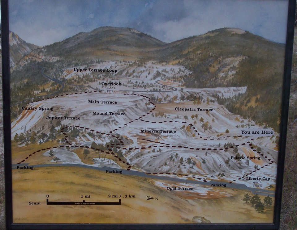 Nurin Merchant Yellowstone National Park