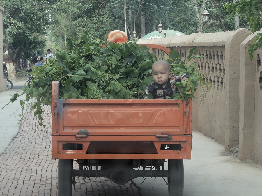 silk-roads_alikarim_3_06s