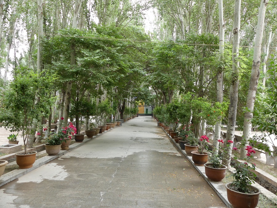 silk-roads_alikarim_5_46s2