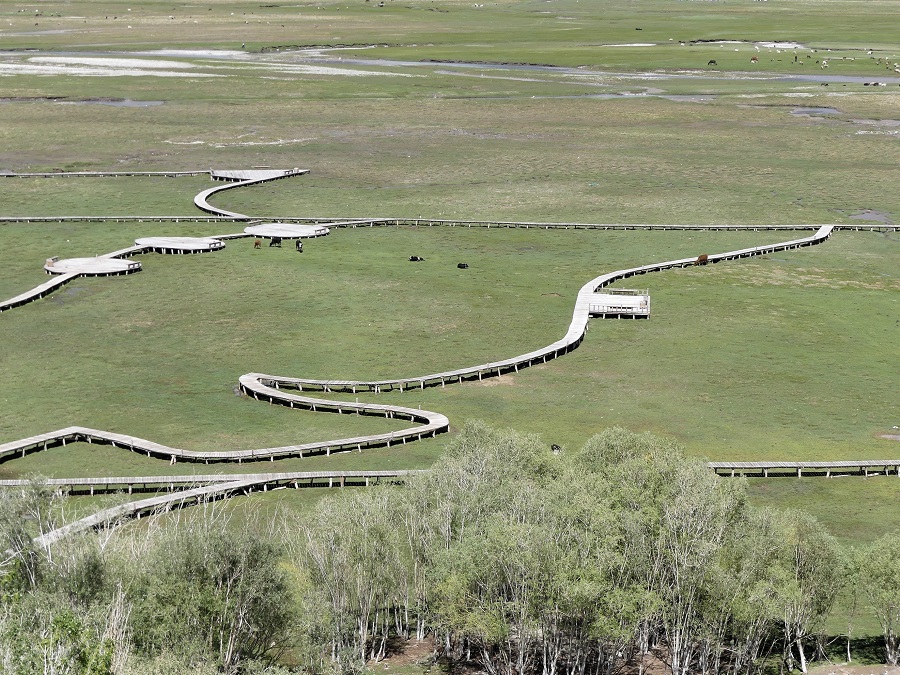 silk-roads_alikarim_6_26s