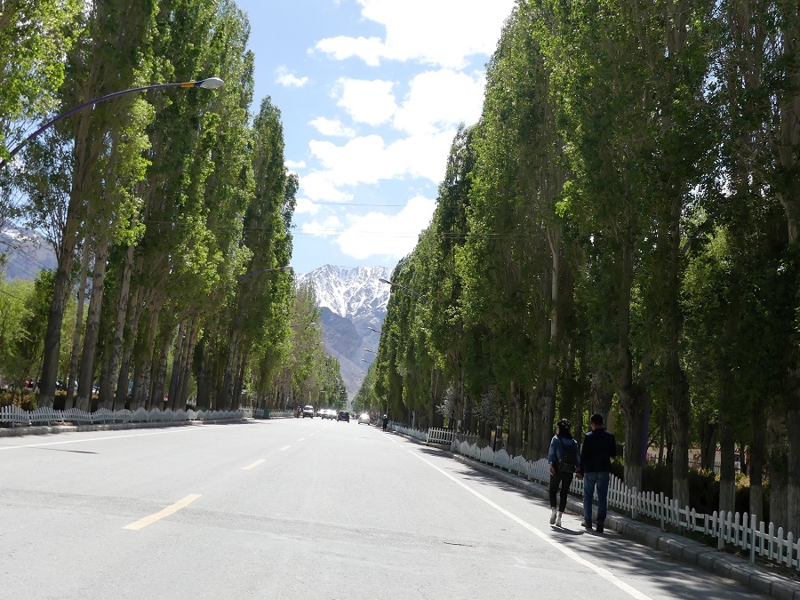 silk-roads_alikarim_6_27s