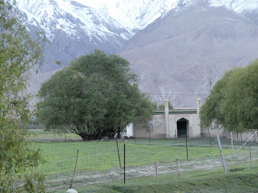 silk-roads_alikarim_6_37s