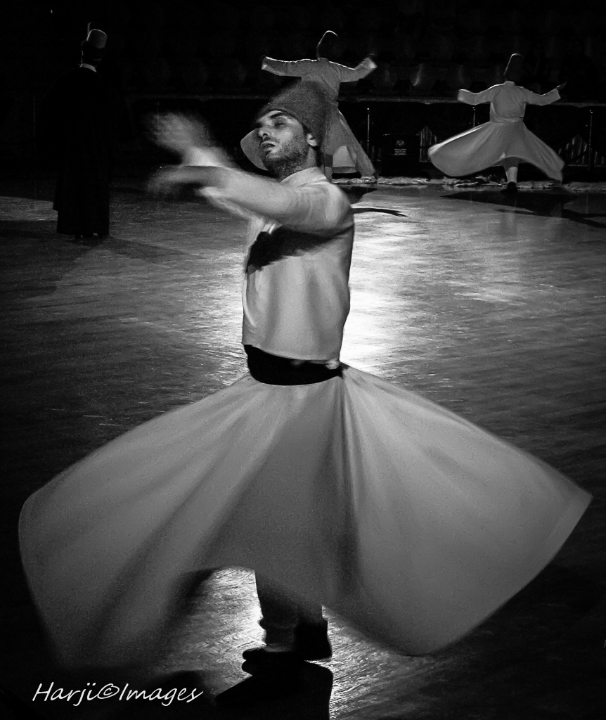 whirlingdervish2290d92