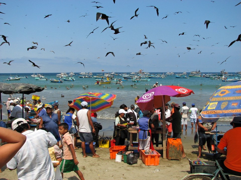 fresh-fish-catch-puerto-lopez-ecuador