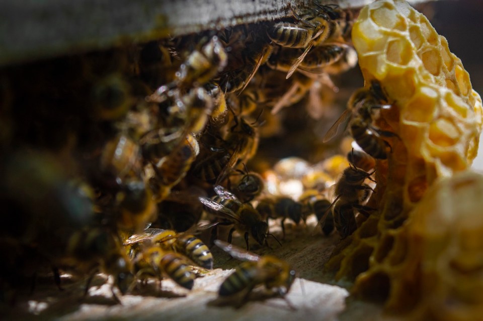 190807_YanaMikhailava0119