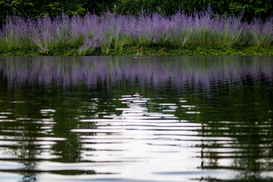 Aga Khan Museum Sustainable Development Goals Exhibition
