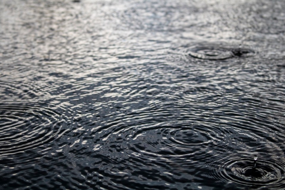 Aga Khan Museum Sustainable Development Goals Exhibition