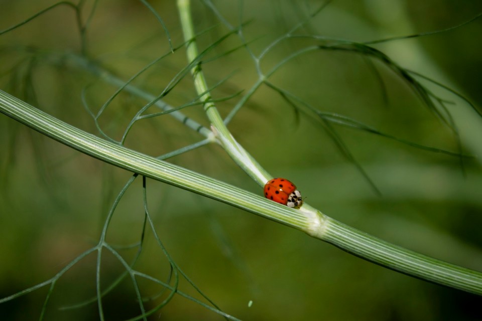 Aga Khan Museum Sustainable Development Goals Exhibition