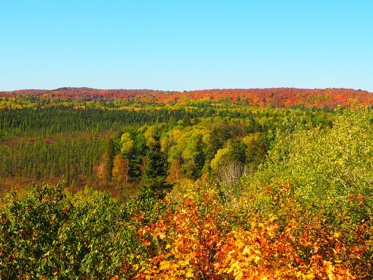 Algonquin Park Fall Colours, Ontario, Canada, Autumn 2019