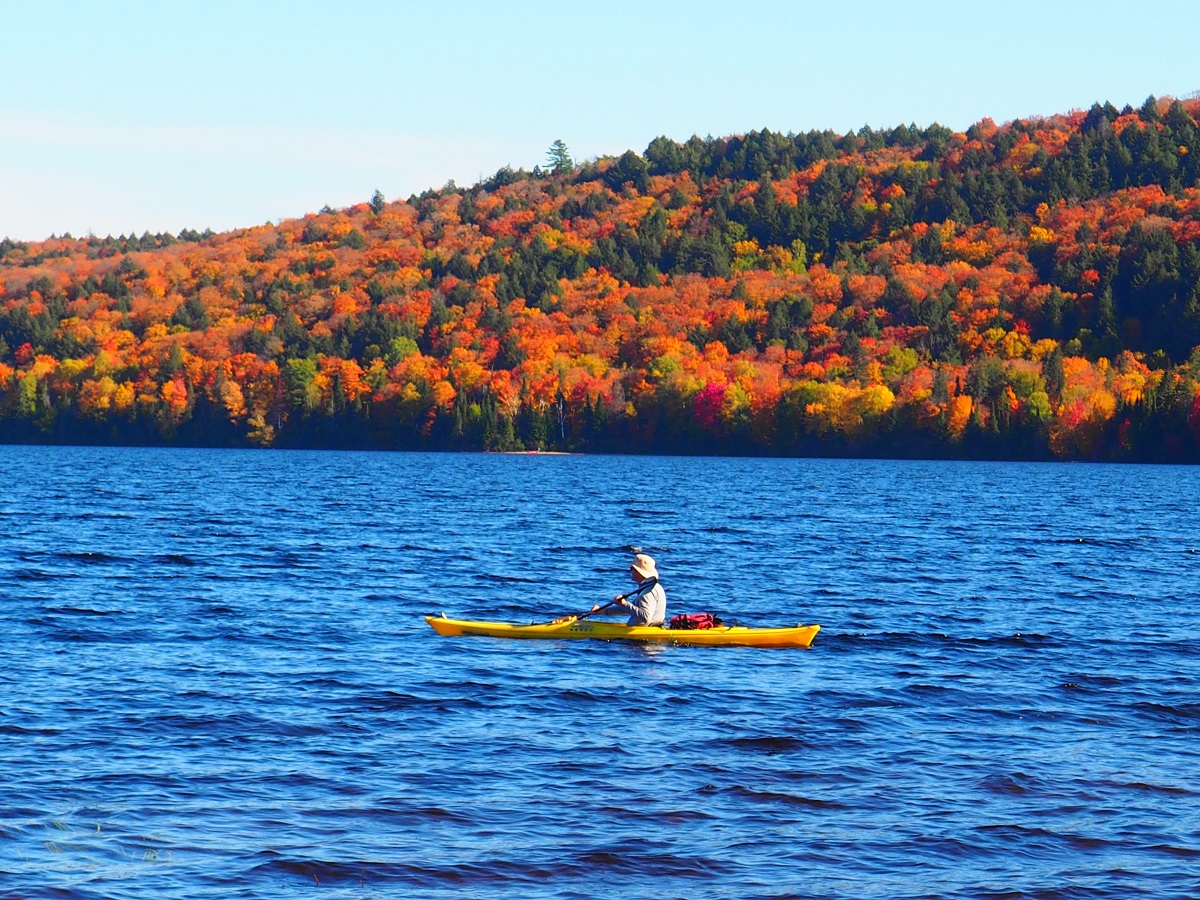 Campground Highway 60 corridor Algonquin Park, Ontario, Canada, Autumn 2019