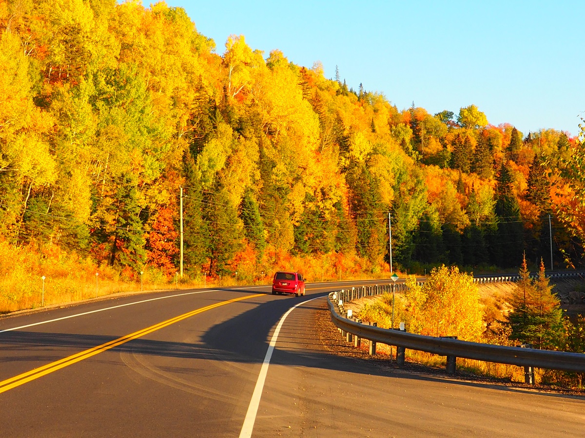 Fall colours, Algonquin Park, Ontario, Canada, Autumn 2019