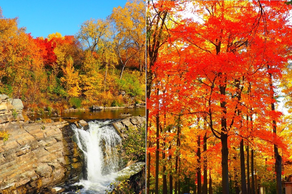 2019 Fall Colours Ottawa and Gatineau, Canada
