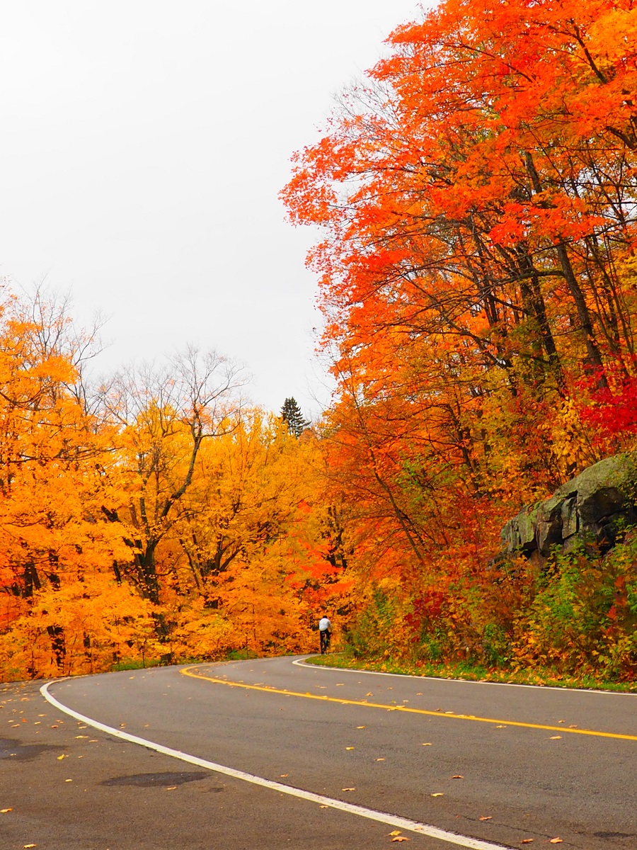 2019 Fall Colours Ottawa and Gatineau, Canada