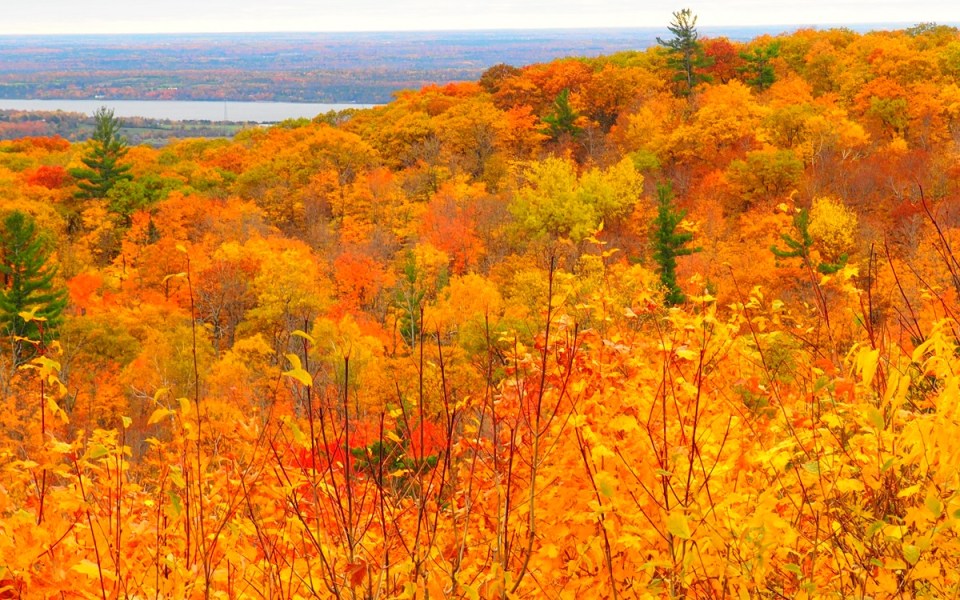 2019 Fall Colours Ottawa and Gatineau, Canada