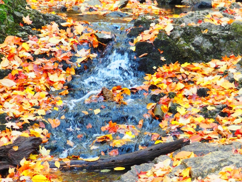 Chute Waterfall Trail, Gatineau Park