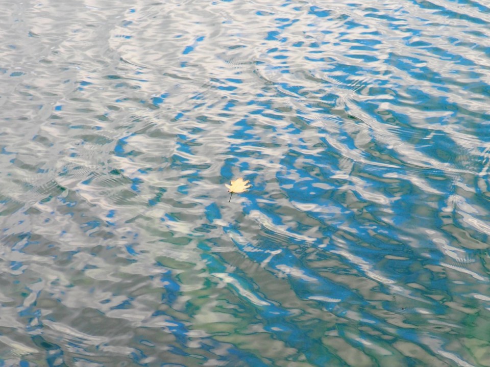 Pink Lake, Gatineau Park.