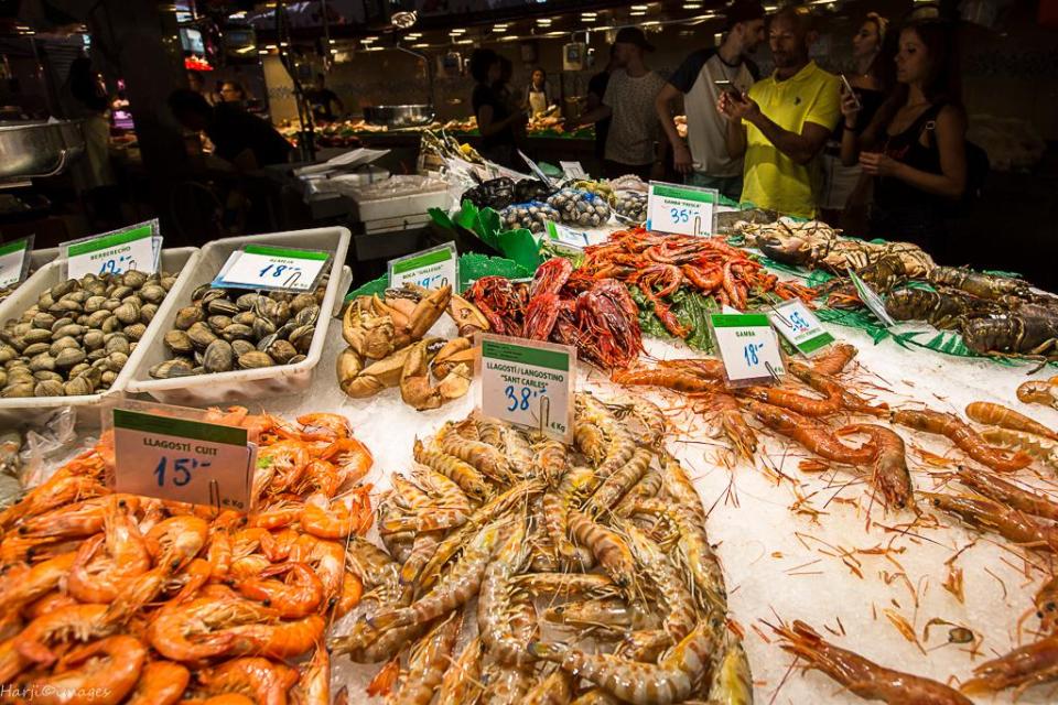 Muslim Harji Barcelona 12