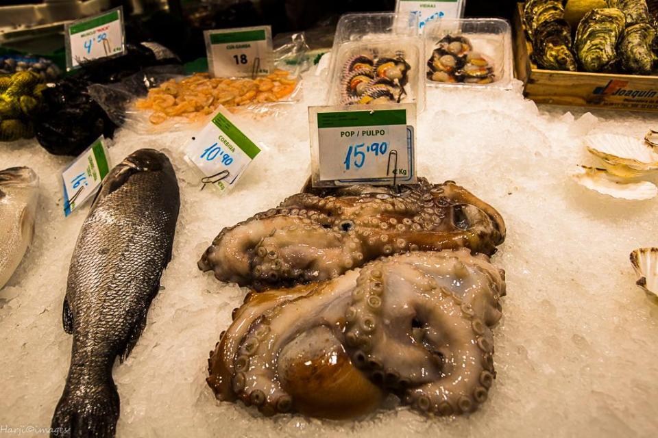 Muslim Harji Barcelona 13