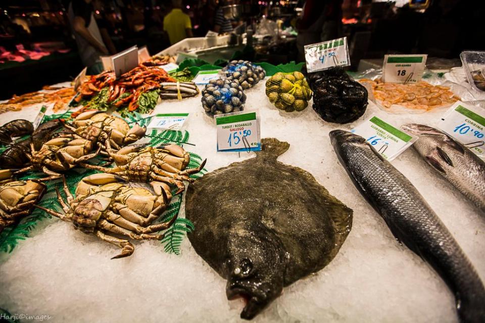 Muslim Harji Barcelona 14