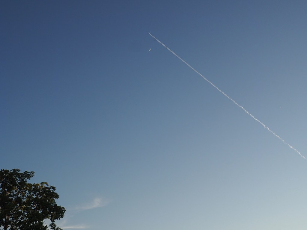 Aga Khan Park, Aga Khan Museum, Ismaili Centre, Simergphotos, Jamatkhana