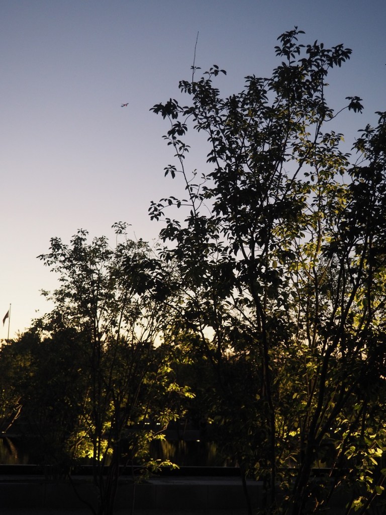 9:09 -10:40 PM: A jet flies over the Aga Khan Park on July 23, 2020. Photo: Malik Merchant / Simergphotos.