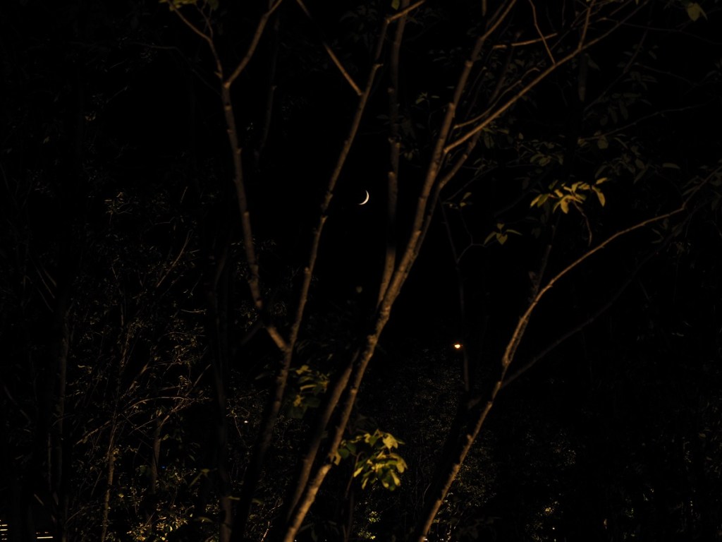 9:09 -10:40 PM: The Crescent Moon over the Aga Khan Park on July 23, 2020. Photo: Malik Merchant / Simergphotos.