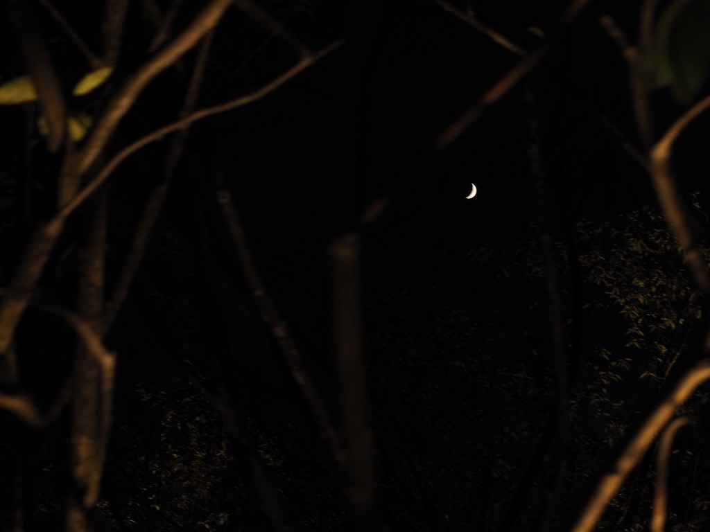 8:30 -10:30 PM: The Crescent Moon over the Aga Khan Park on July 24, 2020. Photo: Malik Merchant / Simergphotos.