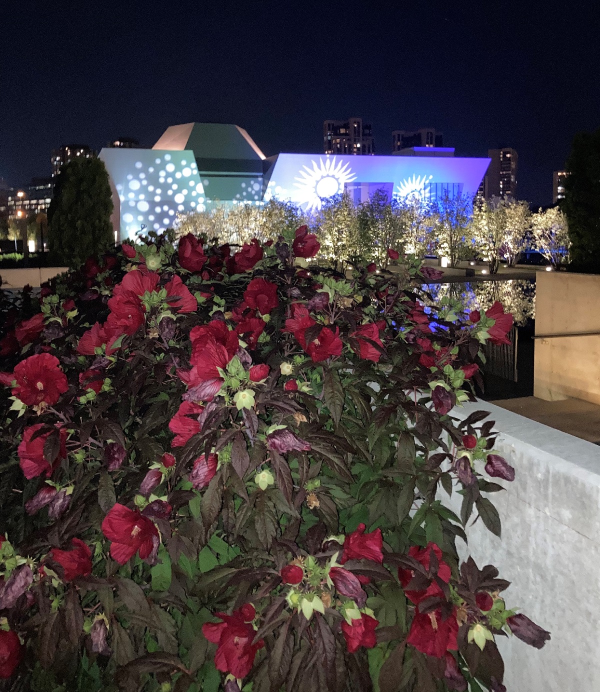 Garden Party Aga Khan Museum and Aga Khan Park Simerg and Simergphotos Malik Merchant