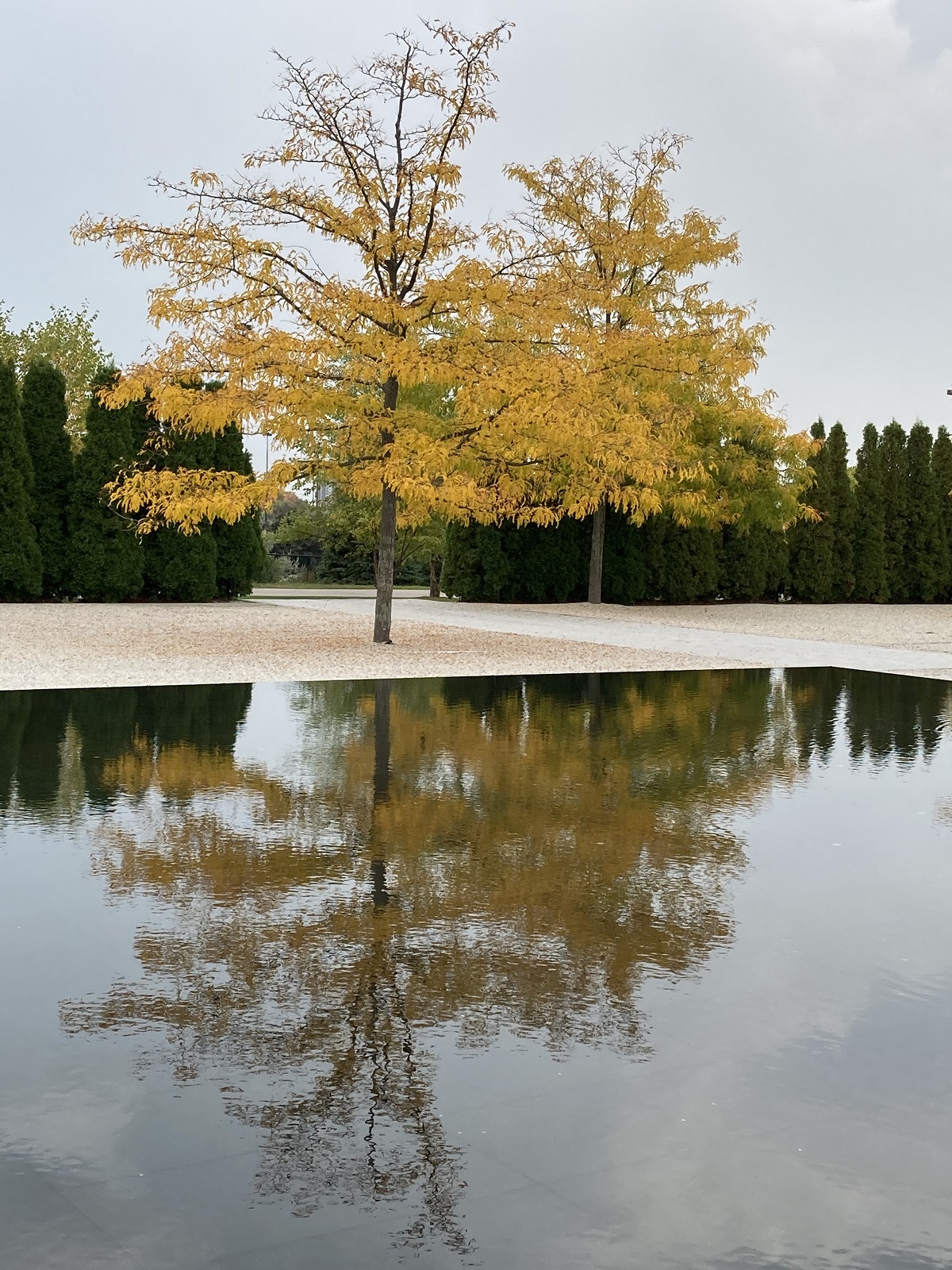 Aga Khan Park foliage 2020