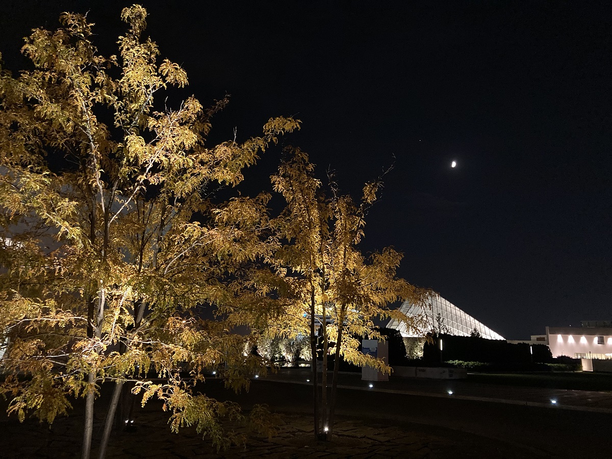 Fall colours at Aga Khan Park, and Waxing Moon above the dome of the Ismaili Jamatkhana on Wynford Drive Toronto.