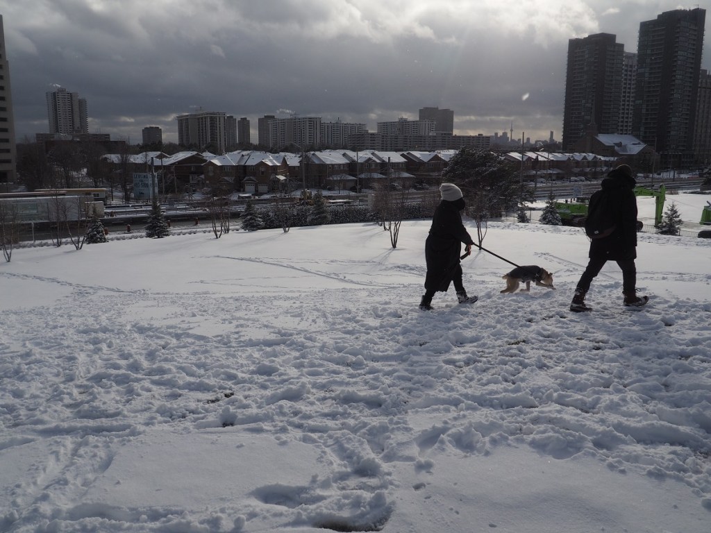 Aga Khan Park, Aga Khan Museum and the Ismaili Centre on white Xmas Christmas Friday December 25, 2020. Simergphotos Simerg and Barakah Malik Merchant.