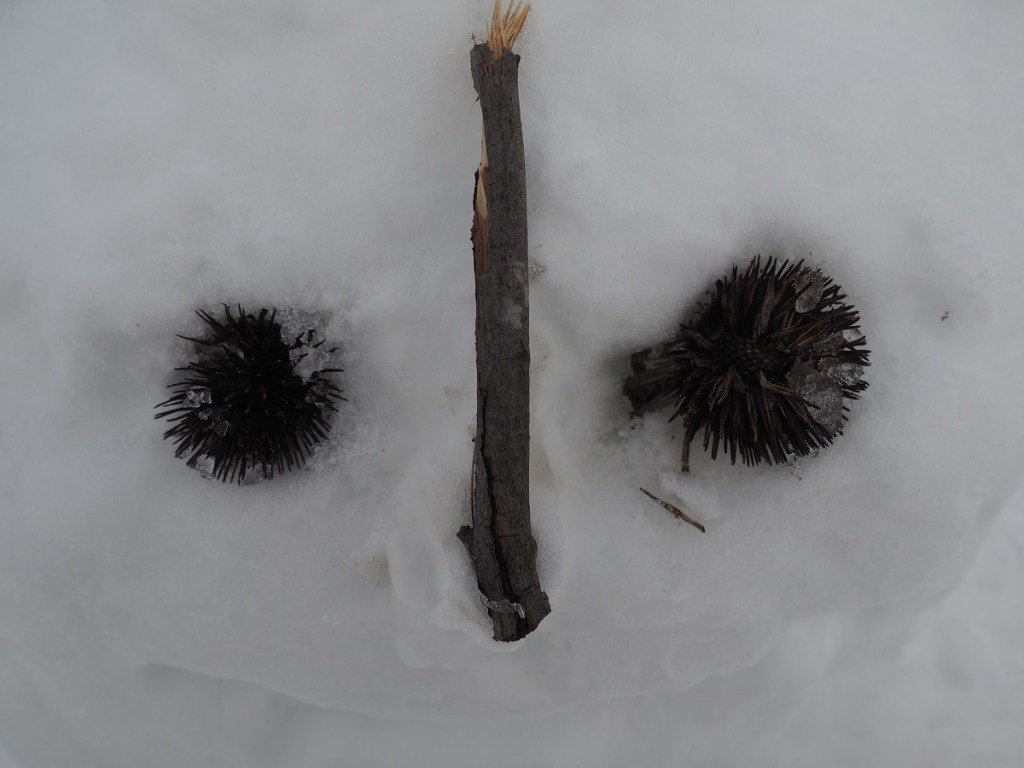 Aga Khan Park, Aga Khan Museum and the Ismaili Centre on white Xmas Christmas Friday December 25, 2020. Simergphotos Simerg and Barakah