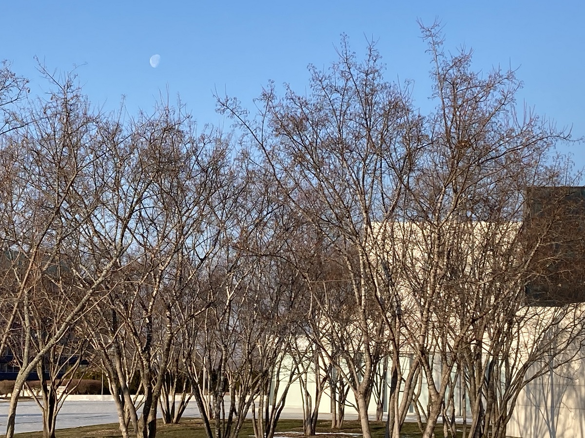 Daytime Moon Aga Khan Park and Ismaili Centre